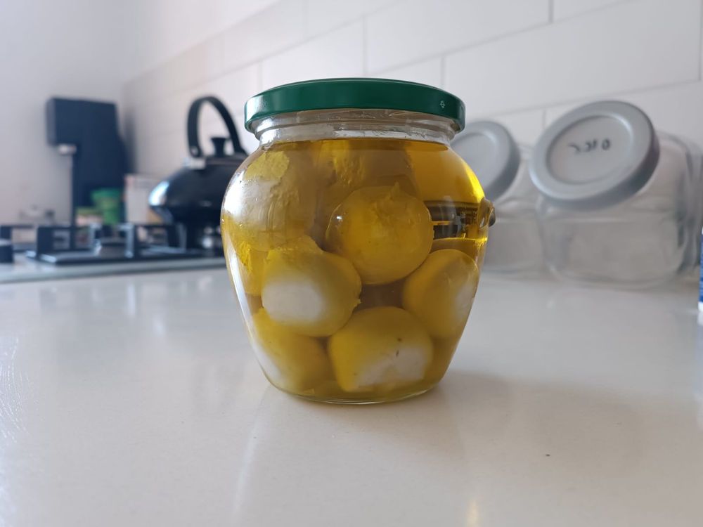 גבינות טבעוניות שהכינו בוגרי הסדנה
